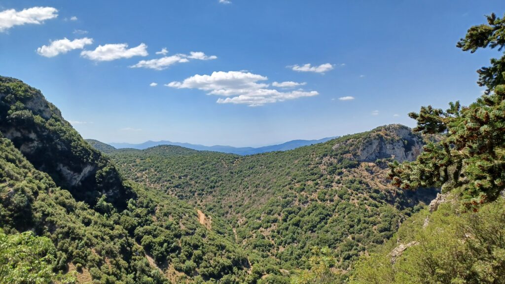 View