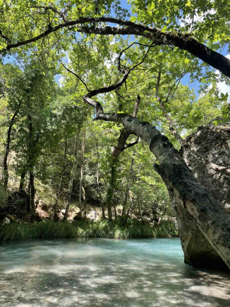 Lousios gorge